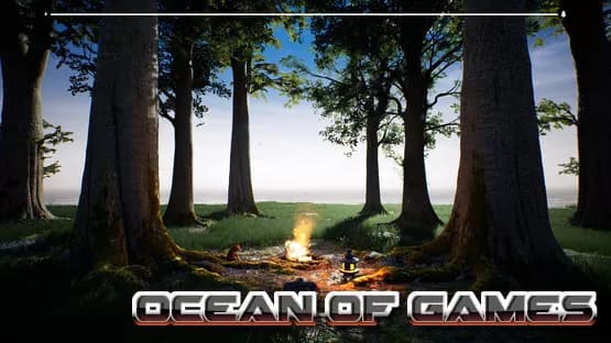 PLAYNE The Meditation Game PLAZA Free Download cover art