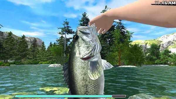 Fishing Adventure PLAZA Free Download cover art
