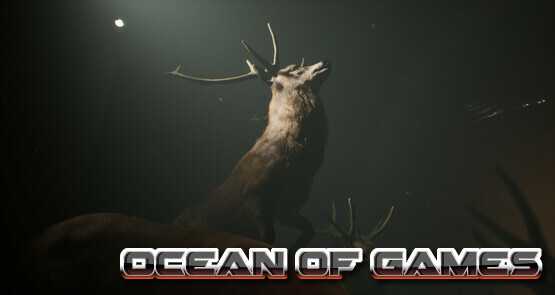 Project 13 Taxidermy Trails TENOKE Free Download cover art